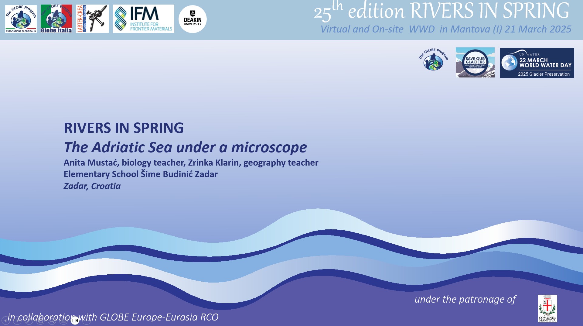 2. The Adriatic Sea under a microscope