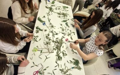 Radionica pletenja maslinovih grančica